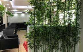 深圳金泊纸业